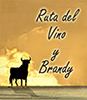 Ruta del vino