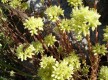 L'appel de la garrigue