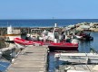 Promenade en Mer Gaïa© - Barcaggio - Ersa - Cap Corse Capicorsu